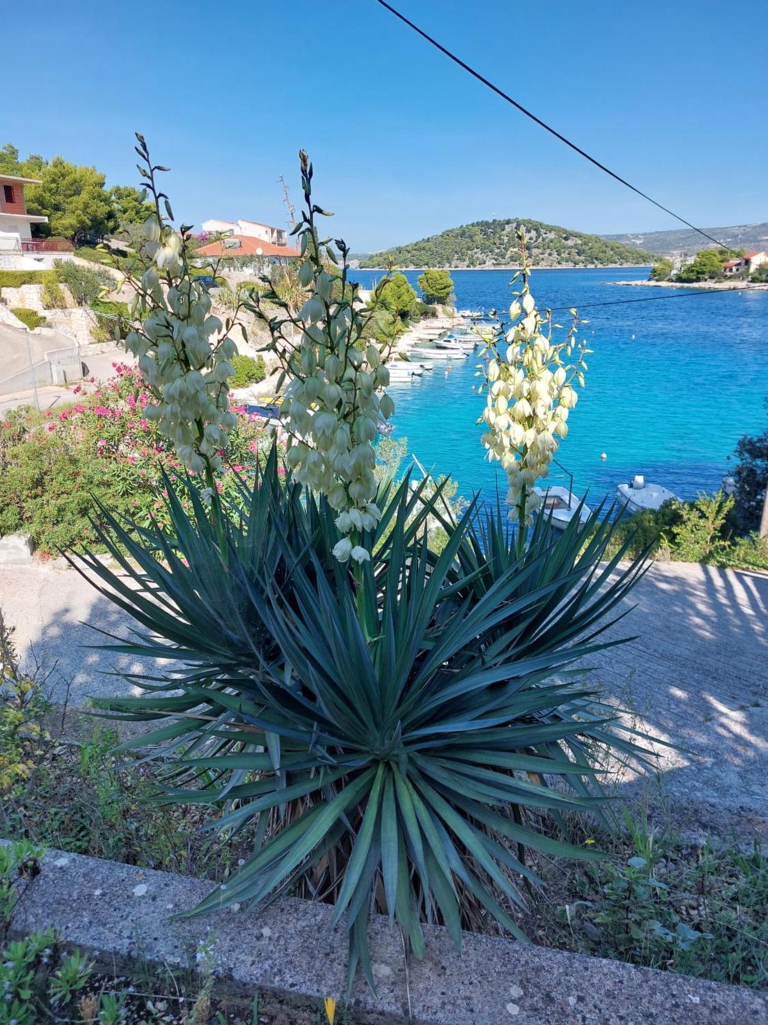 Speranda Apartment Razanj